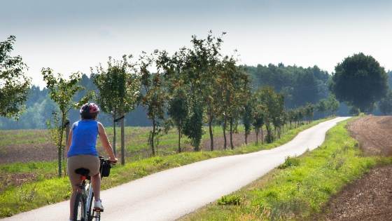 cycling 1 hour a day